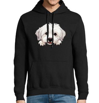 Obrázek 1 produktu Pánská mikina Zvědavý Coton de Tulear