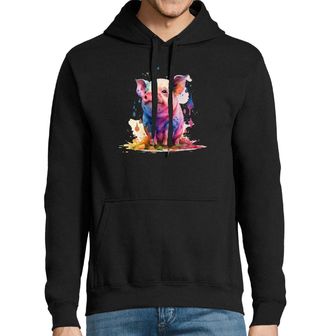 Obrázek 1 produktu Pánská mikina Barevné Prasátko