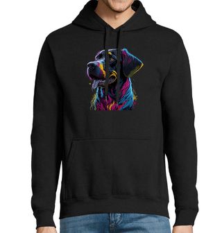 Obrázek 1 produktu Pánská mikina Barevná Srst Labradora