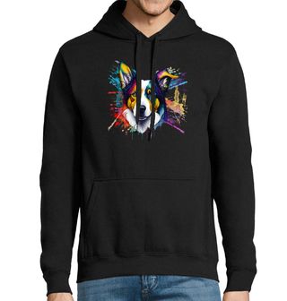 Obrázek 1 produktu Pánská mikina Barevná Border kolie