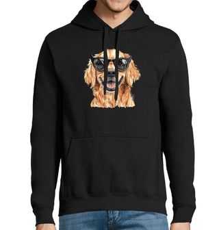 Obrázek 1 produktu Pánská mikina Zlatý retrívr v Brýlích