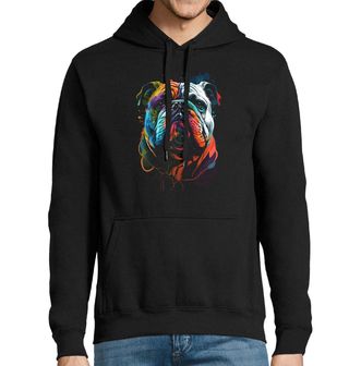 Obrázek 1 produktu Pánská mikina Barevný Bulldog