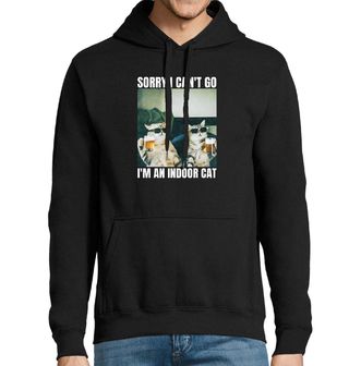 Obrázek 1 produktu Pánská mikina Bytová kočka s Pivem