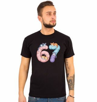 Obrázek 1 produktu Pánské tričko Spící Kočky 67 Six Seven Meme