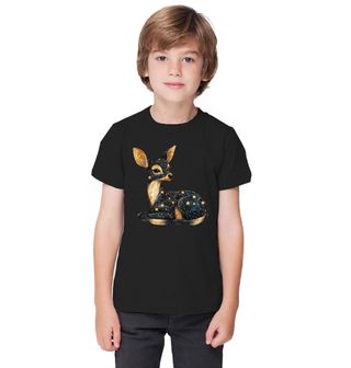 Obrázek 1 produktu Dětské tričko Hvězdný Koloušek