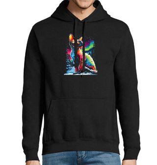 Obrázek 1 produktu Pánská mikina Bezsrstá Kočka Sphynx pod Polární Září