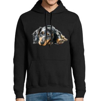 Obrázek 1 produktu Pánská mikina Černý Jezevčík Krátkosrstý