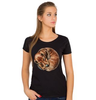 Obrázek 1 produktu Dámské tričko Spící Jezevčík v Klubíčku