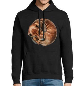 Obrázek 1 produktu Pánská mikina Spící Jezevčík v Klubíčku