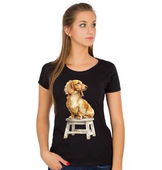 Obrázek 1 produktu Dámské tričko Pózující Jezevčík na Stoličce