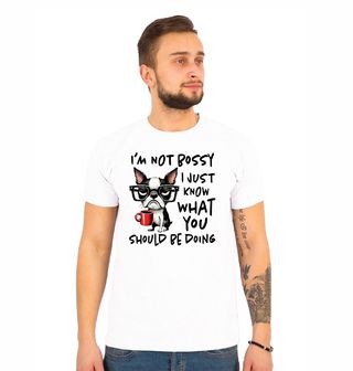 Obrázek 1 produktu Pánské tričko Bostonský teriér Nešéfuju, jen vím, co bys měl dělat