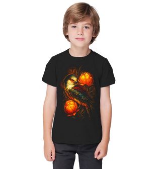 Obrázek 1 produktu Dětské tričko Sokol stěhovavý