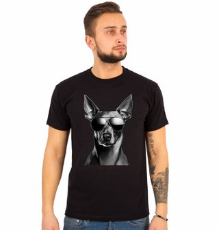 Obrázek 1 produktu Pánské tričko Faraonský pes s Brýlemi