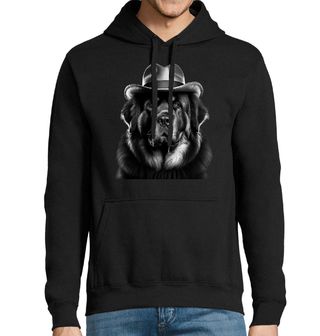 Obrázek 1 produktu Pánská mikina Tibetská doga s Kloboukem