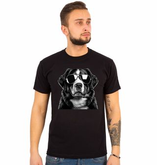 Obrázek 1 produktu Pánské tričko Bernský salašnický pes s Brýlemi