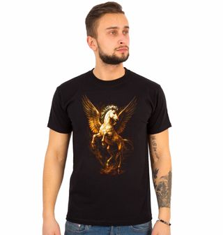 Obrázek 1 produktu Pánské tričko Bájný Pegasus