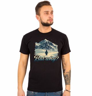 Obrázek 1 produktu Pánské tričko Osamělý Tučňák But Why?