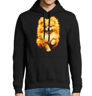 Obrázek 1 produktu Pánská mikina Huňatý Pomeranian