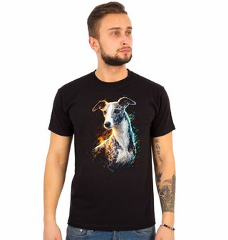 Obrázek 1 produktu Pánské tričko Elegantní Vipet