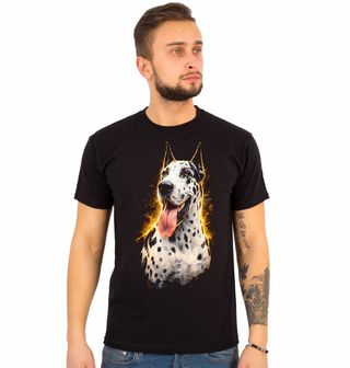 Obrázek 1 produktu Pánské tričko Harlekýnská Německá doga