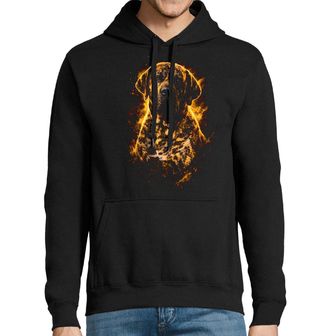 Obrázek 1 produktu Pánská mikina Žíhaná Brazilská fila