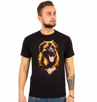 Obrázek 1 produktu Pánské tričko Leonberger