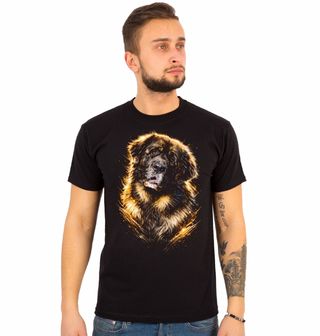 Obrázek 1 produktu Pánské tričko Majestátní Leonberger