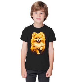 Obrázek 1 produktu Dětské tričko Huňatý Pomeranian