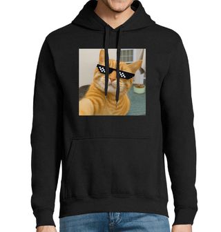 Obrázek 1 produktu Pánská mikina Selfie Kočka se Stylovými Brýlemi