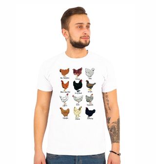 Obrázek 1 produktu Pánské tričko Atlas Slepic