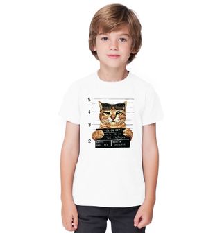 Obrázek 1 produktu Dětské tričko Chycení ničitele pohovky