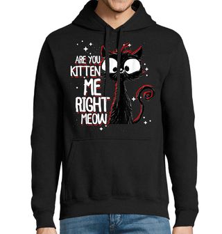 Obrázek 1 produktu Pánská mikina To Myslíš Vážně Mňau