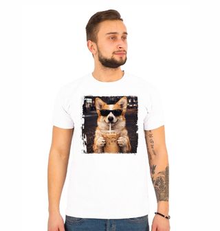 Obrázek 1 produktu Pánské tričko Pembroke Corgi s Ledovou Kávou