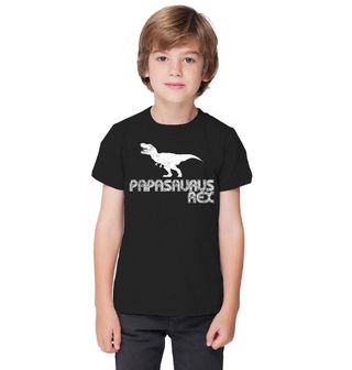 Obrázek 1 produktu Dětské tričko Táta Dinosaurus Papasaurus Rex