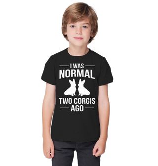 Obrázek 1 produktu Dětské tričko Byl Jsem Normální Před Corgi I Was Normal Two Corgis Ago