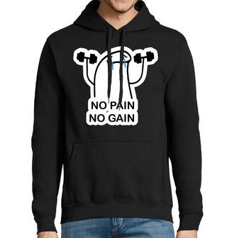 Obrázek 1 produktu Pánská mikina Bolest k Úspěchu