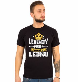 Obrázek 1 produktu Pánské tričko Legendy se Rodí v Lednu