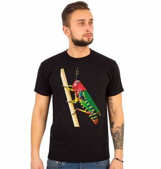 Obrázek 1 produktu Pánské tričko Tropická Kobylka Painted Grasshopper
