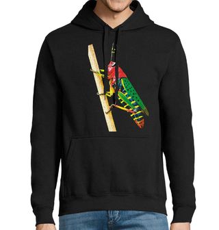Obrázek 1 produktu Pánská mikina Tropická Kobylka Painted Grasshopper