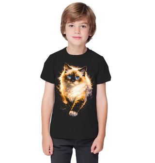 Obrázek 1 produktu Dětské tričko Modrooká Kočka Ragdoll