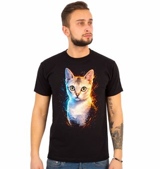 Obrázek 1 produktu Pánské tričko Singapurská Kočka