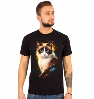 Obrázek 1 produktu Pánské tričko Ragdoll Kočka s Krátkou Srstí