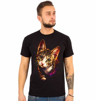 Obrázek 1 produktu Pánské tričko Zvídavé Koťátko