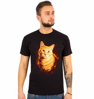 Obrázek 1 produktu Pánské tričko Zrzavý Kocour