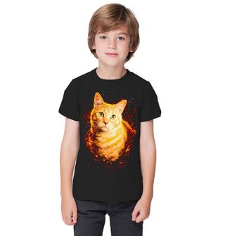 Obrázek 1 produktu Dětské tričko Zrzavý Kocour