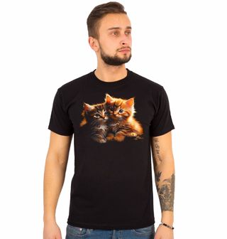 Obrázek 1 produktu Pánské tričko Hebká Koťata v Objetí
