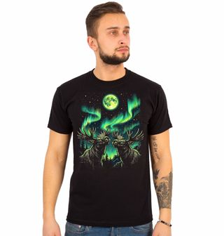 Obrázek 1 produktu Pánské tričko Losi pod Polární Září