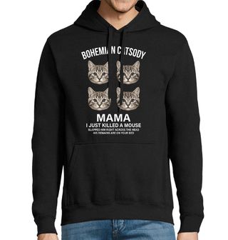 Obrázek 1 produktu Pánská mikina Bohemian Catsody