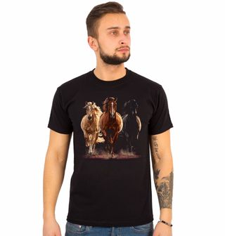 Obrázek 1 produktu Pánské tričko Tři Běžící Koně
