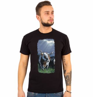 Obrázek 1 produktu Pánské tričko Býk, Hvězda Texasu